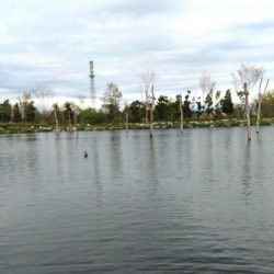 平日はミノーイングが楽しい！ ～フィッシングパーク高島の泉～